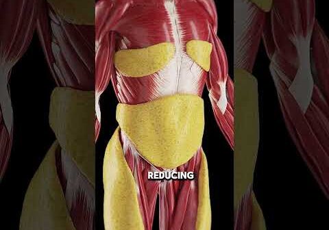 What happens to your body if you fast for 36 hours!!