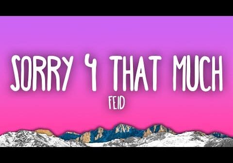 Feid – SORRY 4 THAT MUCH