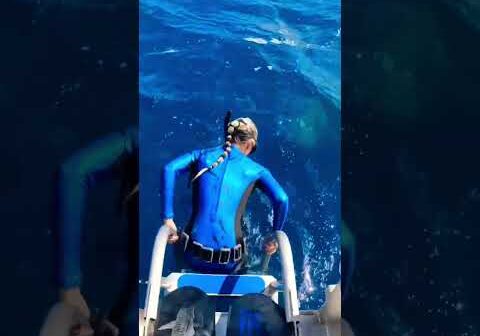Never Jump Into The Ocean or Else THIS Will Happen! #shorts