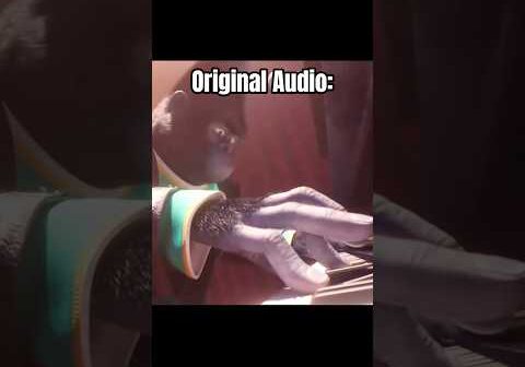 SING Piano Scene But THIS HAPPENS.. 🤨👀 #piano #pianotutorial