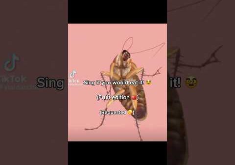FRUIT EDITION! 🍎 #fyp #fruit #singing #viral #shorts #funny #roach #sofia #lol #shortsfeed