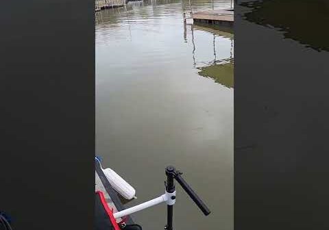 It’s fishing – You never know what is gonna happen