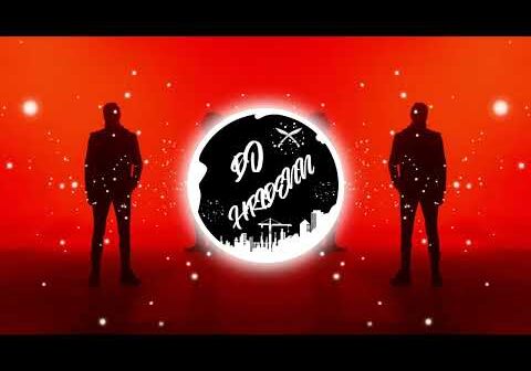 Wiggle X Parkhai | Wild+ | Jason Derulo | Snoop Dogg | DJ HRIDEN REMIX