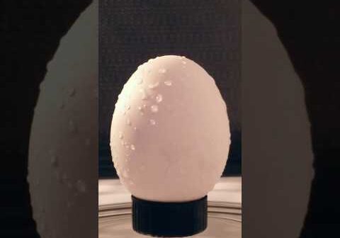 Putting an egg in the microwave