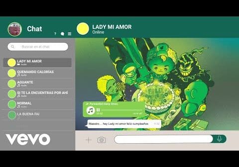 Feid – Lady Mi Amor (Lyric Video)