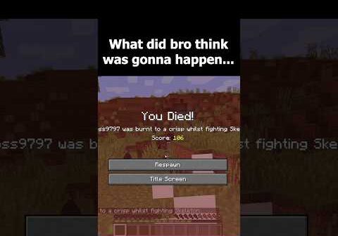 What did bro think was gonna happen… #gaming #minecraft #minecraftmemes #minecraftchallenge