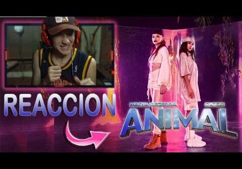 REACCIONO A Maria Becerra, Cazzu – ANIMAL (Official Video) // las DIOSAS del TRAP 😻