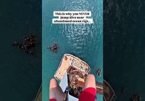 When you dive in too late…