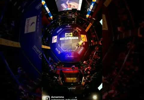 A todos los que esperan verme caer