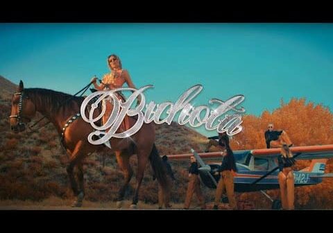 Bichota – Karol G – Isaac Venezuela