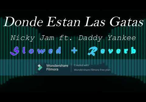 Donde Están Las Gatas – Nicky Jam ft. Daddy Yankee (Slowed + Reverb)