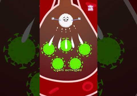 What Is PNEUMONIA? | Respiratory Disease #shorts
