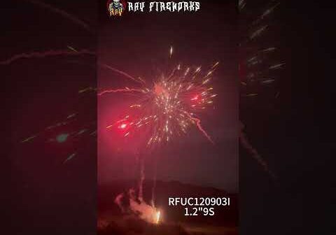 RFUC120903I 1.2” 9 shots cake fireworks