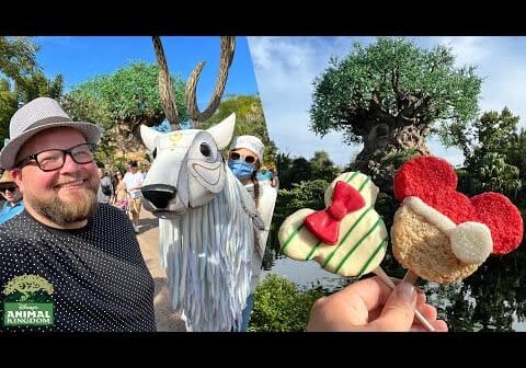 Disney’s Animal Kingdom Christmas 2021 | The Merry Menagerie & Holiday Cavalcades | Christmas Snacks