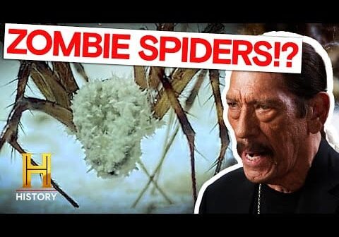 A Terrifying Discovery in the Dark (S2) | Mysteries Unearthed with Danny Trejo