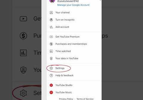 Enable your scheduled daily digest in the YouTube app