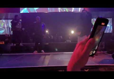 Berner Lex Night Club Reno #gonnahappen #berner #cookies