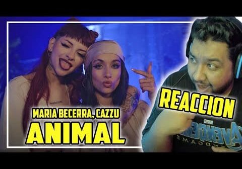 REACCIÓN: “ANIMAL” // Maria Becerra, Cazzu