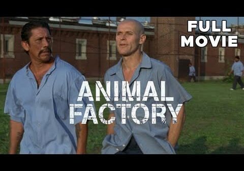 Animal Factory | FULL MOVIE | Willem Dafoe, Edward Furlong, Danny Trejo | Prison Crime Drama