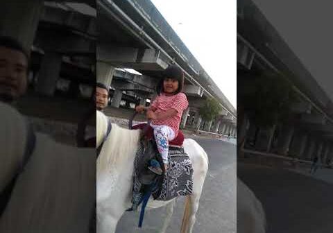 sofia mila sabrina(14)