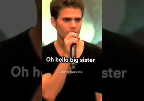 #shorts #tvd #damon #stefan
