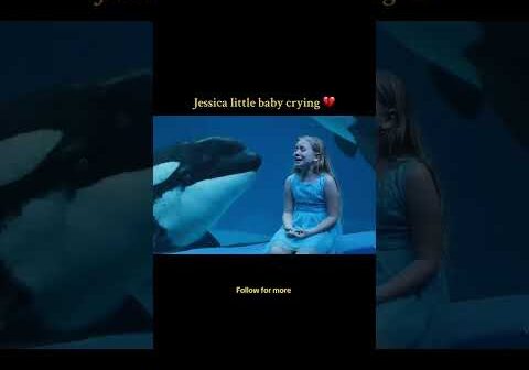 #orca #USA #JessicaAlba #WesternVibes #Trending #PopCulture