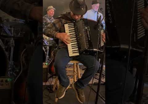 Neville Brothers Yellow Moon Free Elements Band 11/12/25 Woodhouse Brew #nevillebrothers #accordian
