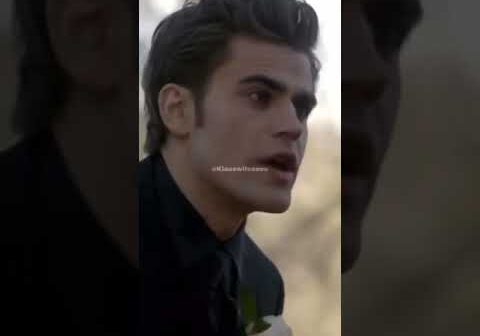 Stefan Salvatore Once Said | #shorts