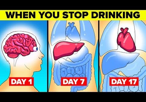What Happens To Your Body When You Stop Drinking Alcohol