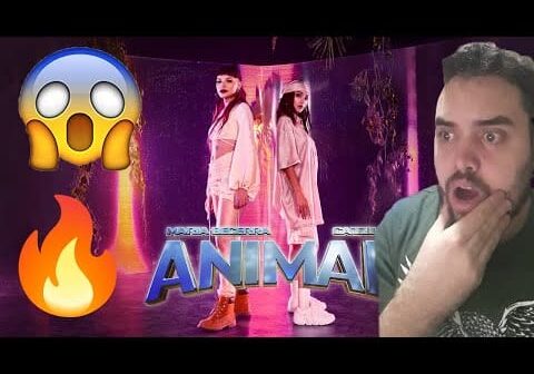 ELLA ES TRAICIONERA COMO YATRA!!! | Reacción a Maria Becerra, Cazzu – ANIMAL | Bauti_YT