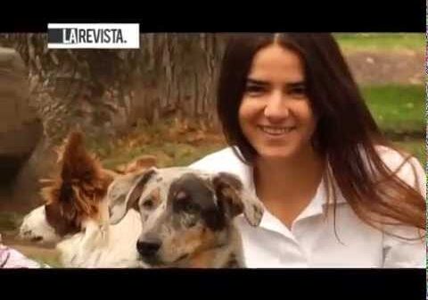 Dumar Roa el “Corazón de León” de las Artes Marciales Mixtas, Lado A y Yerick Rey con nuevo sencillo