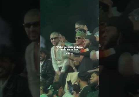 Feid, Bad Bunny • Perro Negro🐰💚 | #Shorts