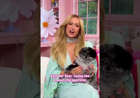 We are pupsessed with @ParisHilton ‘s new song #StarkleOn