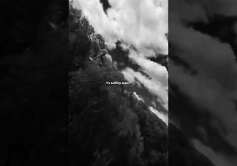 SZA – Big Boy (Lyrics) | “It’s cuffing season I need a big boy, I want a big boy” | Aesthetic #sza