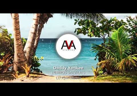 Daddy Yankee – Perros Salvajes (DJ Kym Remix)