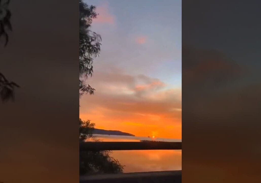 Sunset over ocean with silhouetted trees.